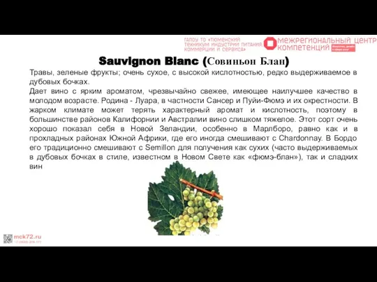 Sauvignon Blanc (Совиньон Блан) Травы, зеленые фрукты; очень сухое, с высокой