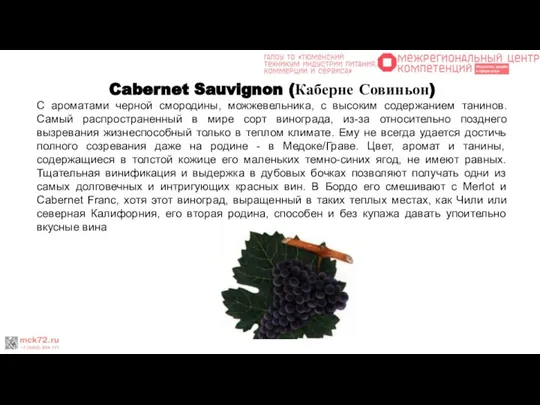 Cabernet Sauvignon (Каберне Совиньон) С ароматами черной смородины, можжевельника, с высоким