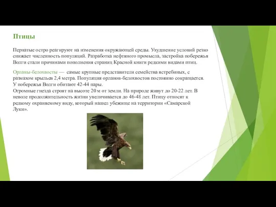 Птицы Пернатые остро реагируют на изменения окружающей среды. Ухудшение условий резко