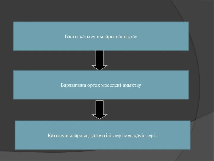 Басты қатысушыларын анықтау Барлығына ортақ мәселені анықтау Қатысушылардың қажеттіліктері мен қауіптері..