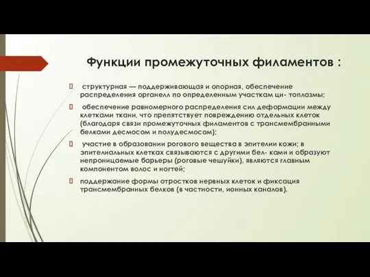 Функции промежуточных филаментов : структурная — поддерживающая и опорная, обеспечение распределения