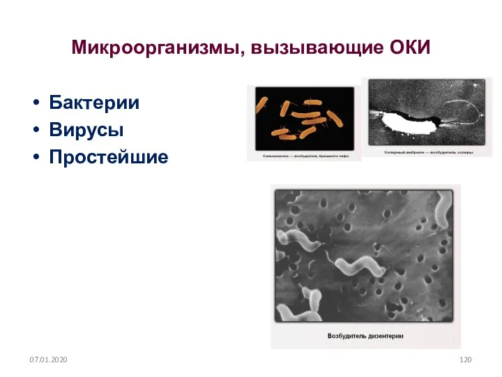 Микроорганизмы, вызывающие ОКИ Бактерии Вирусы Простейшие 07.01.2020