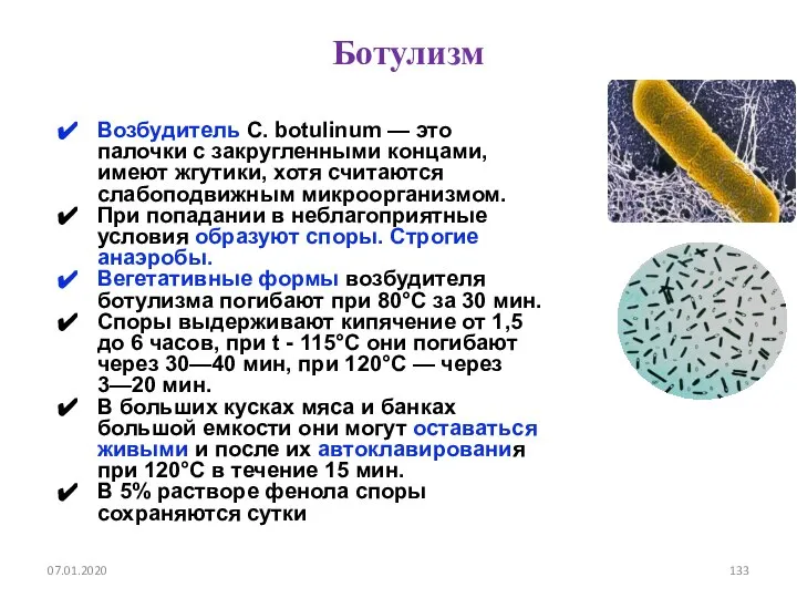 Ботулизм 07.01.2020 Возбудитель С. botulinum — это палочки с закругленными концами,