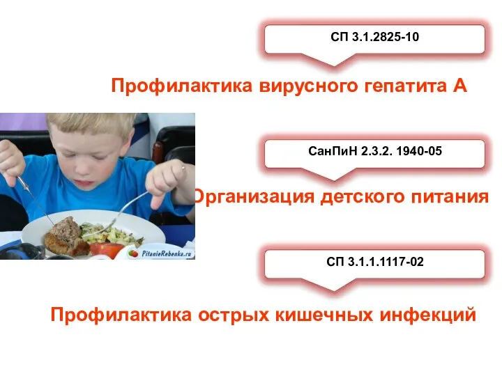 Организация детского питания Профилактика острых кишечных инфекций Профилактика вирусного гепатита А