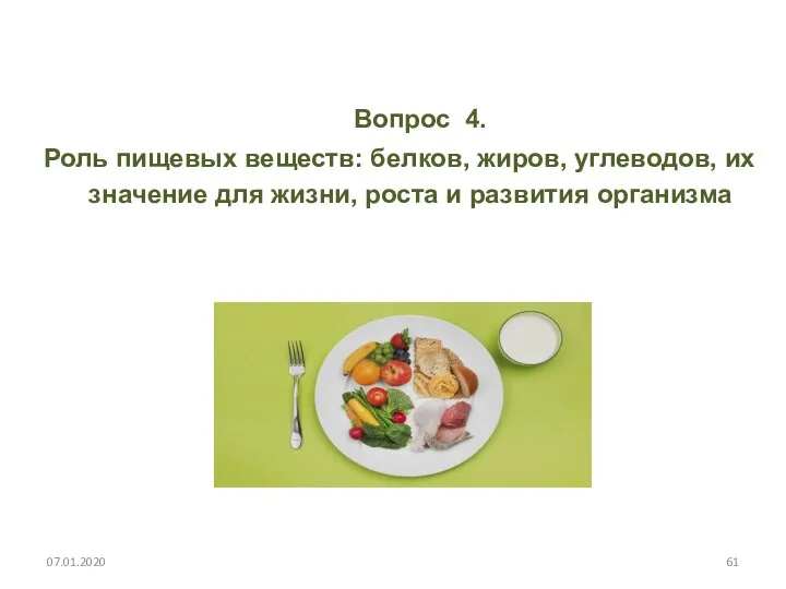 Вопрос 4. Роль пищевых веществ: белков, жиров, углеводов, их значение для