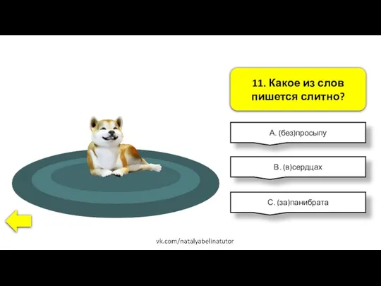 11. Какое из слов пишется слитно? А. (без)просыпу В. (в)сердцах С. (за)панибрата