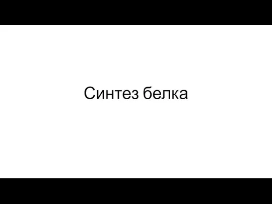 Синтез белка