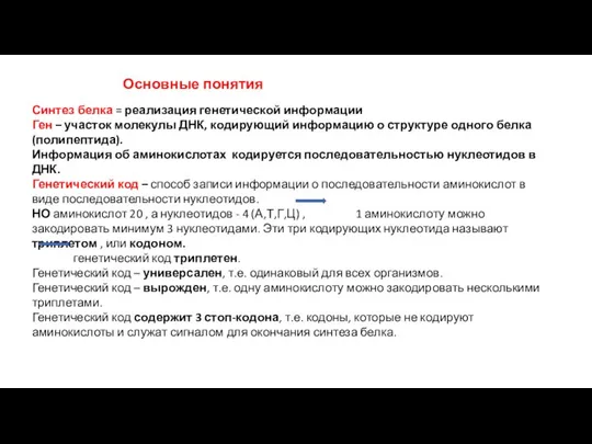 Синтез белка = реализация генетической информации Ген – участок молекулы ДНК,