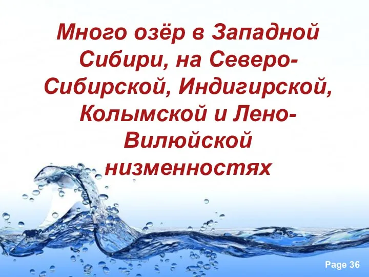 Много озёр в Западной Сибири, на Северо-Сибирской, Индигирской, Колымской и Лено-Вилюйской низменностях