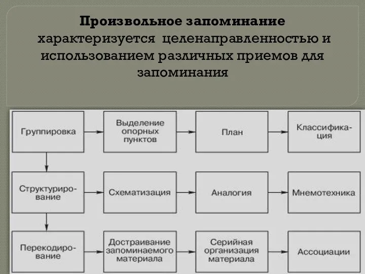 Произвольное запоминание характеризуется целенаправленностью и использованием различных приемов для запоминания