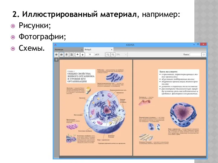 2. Иллюстрированный материал, например: Рисунки; Фотографии; Схемы.