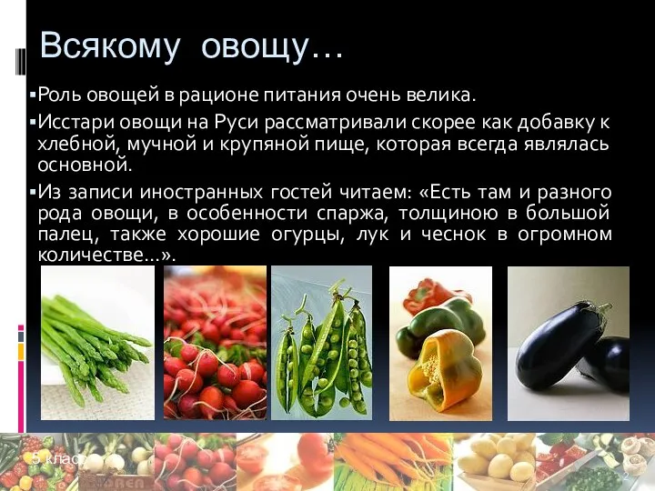 Всякому овощу… Роль овощей в рационе питания очень велика. Исстари овощи