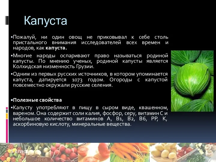 Капуста Пожалуй, ни один овощ не приковывал к себе столь пристального