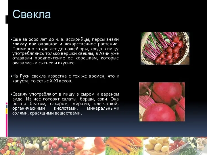 Свекла Еще за 2000 лет до н. э. ассирийцы, персы знали