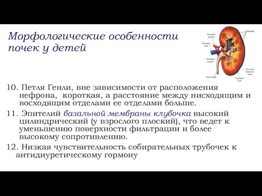 10. Петля Генли, вне зависимости от расположения нефрона, короткая, а расстояние