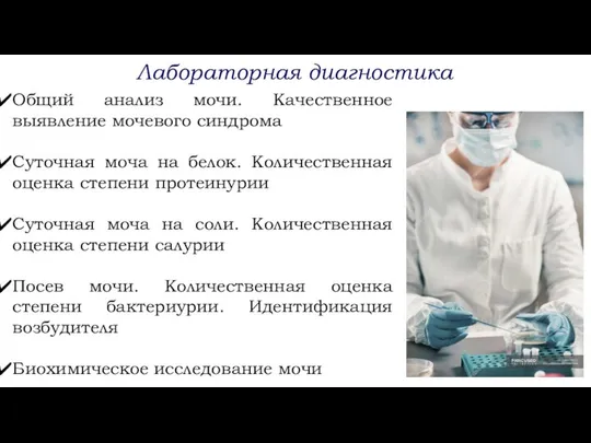 Лабораторная диагностика Общий анализ мочи. Качественное выявление мочевого синдрома Суточная моча