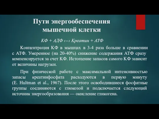 Пути энергообеспечения мышечной клетки KФ + АДФ ‹--› Kреатин + АТФ