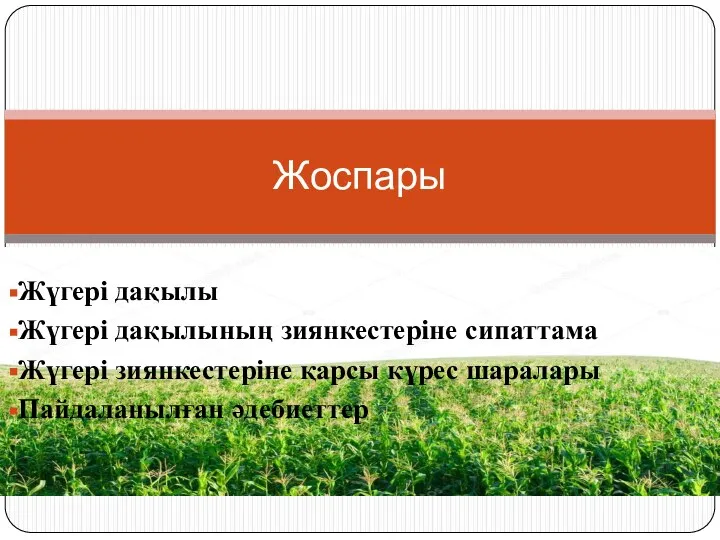 Жүгері дақылы Жүгері дақылының зиянкестеріне сипаттама Жүгері зиянкестеріне қарсы күрес шаралары Пайдаланылған әдебиеттер Жоспары