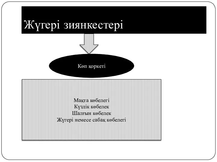 Жүгері зиянкестері Мақта көбелегі Күздік көбелек Шалғын көбелек Жүгері немесе сабақ көбелегі Көп қоркеті