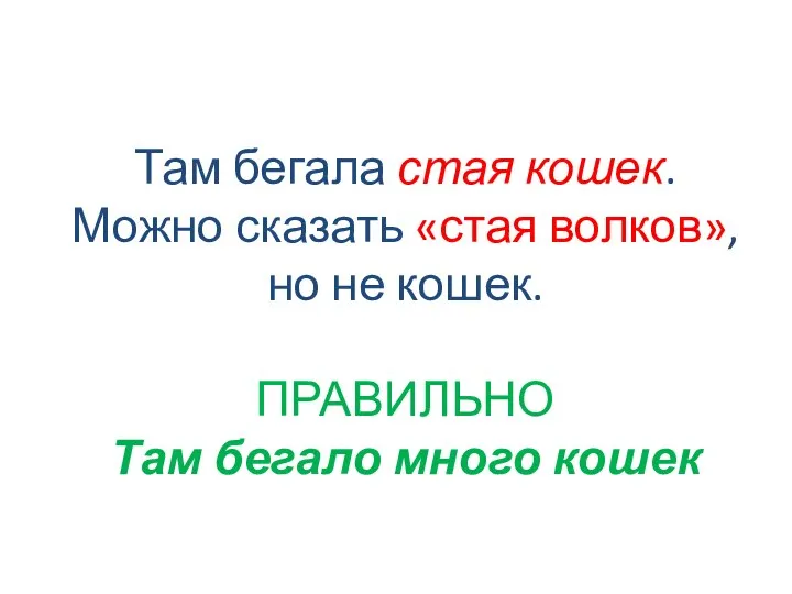 Там бегала стая кошек. Можно сказать «стая волков», но не кошек. ПРАВИЛЬНО Там бегало много кошек