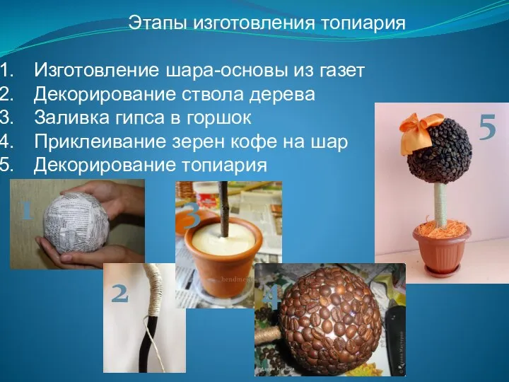 Этапы изготовления топиария Изготовление шара-основы из газет Декорирование ствола дерева Заливка