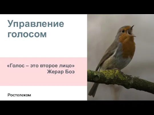 Управление голосом «Голос – это второе лицо» Жерар Боэ