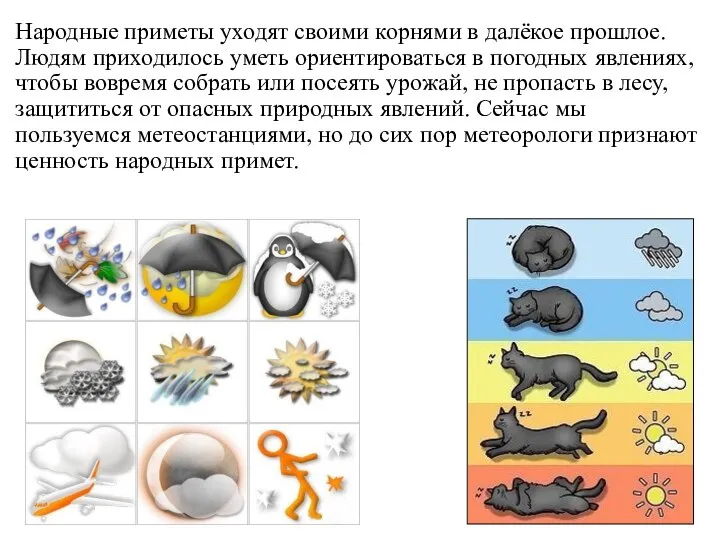 Народные приметы уходят своими корнями в далёкое прошлое. Людям приходилось уметь