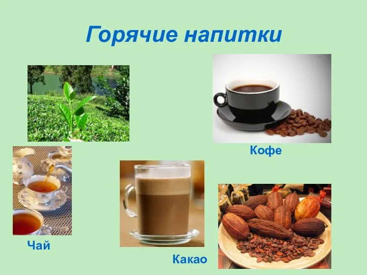 Горячие напитки Чай Какао Кофе