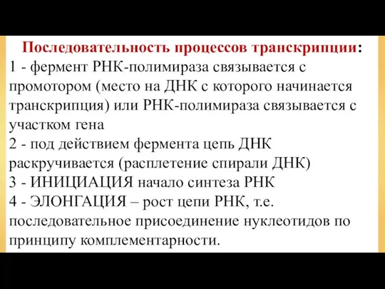 Последовательность процессов транскрипции: 1 - фермент РНК-полимираза связывается с промотором (место