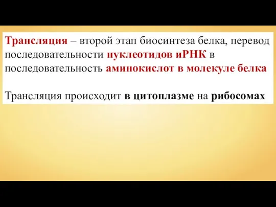 Трансляция – второй этап биосинтеза белка, перевод последовательности нуклеотидов иРНК в