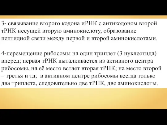 3- связывание второго кодона иРНК с антикодоном второй тРНК несущей вторую