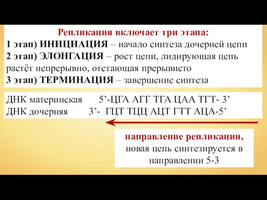 Репликация включает три этапа: 1 этап) ИНИЦИАЦИЯ – начало синтеза дочерней