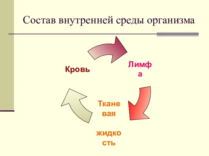 Состав внутренней среды организма