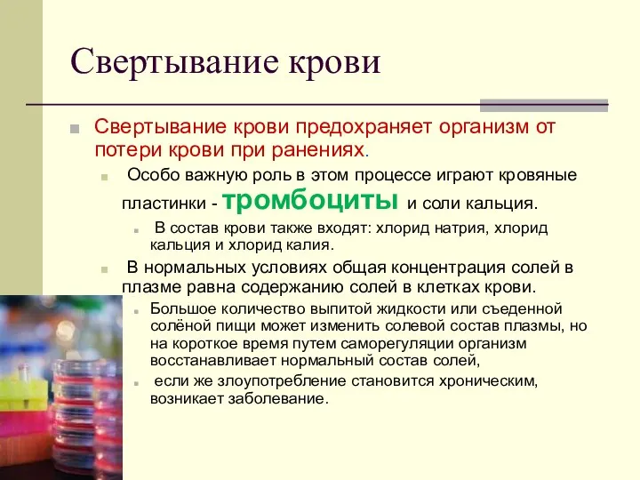 Свертывание крови Свертывание крови предохраняет организм от потери крови при ранениях.