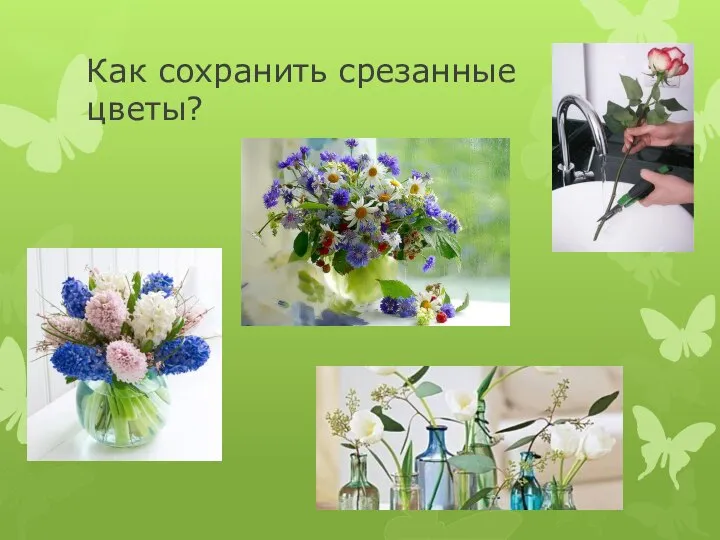 Как сохранить срезанные цветы?