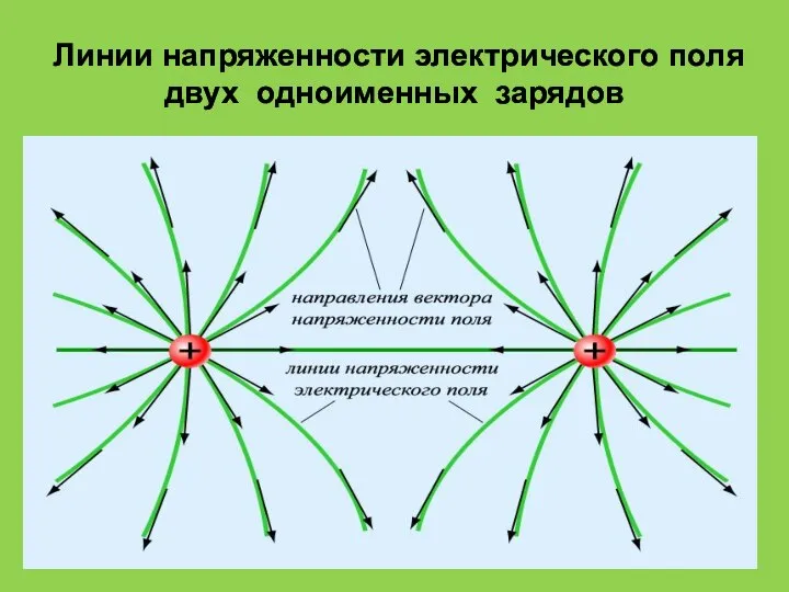 Линии напряженности электрического поля двух одноименных зарядов