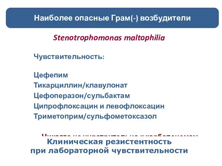 Stenotrophomonas maltophilia Чувствительность: Цефепим Тикарциллин/клавулонат Цефоперазон/сульбактам Ципрофлоксацин и левофлоксацин Триметоприм/сульфометоксазол Никогда