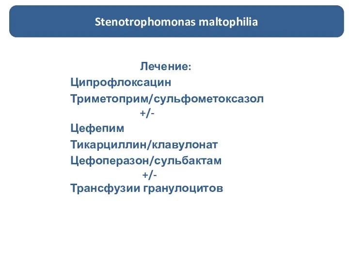 Лечение: Ципрофлоксацин Триметоприм/сульфометоксазол +/- Цефепим Тикарциллин/клавулонат Цефоперазон/сульбактам +/- Трансфузии гранулоцитов Stenotrophomonas maltophilia