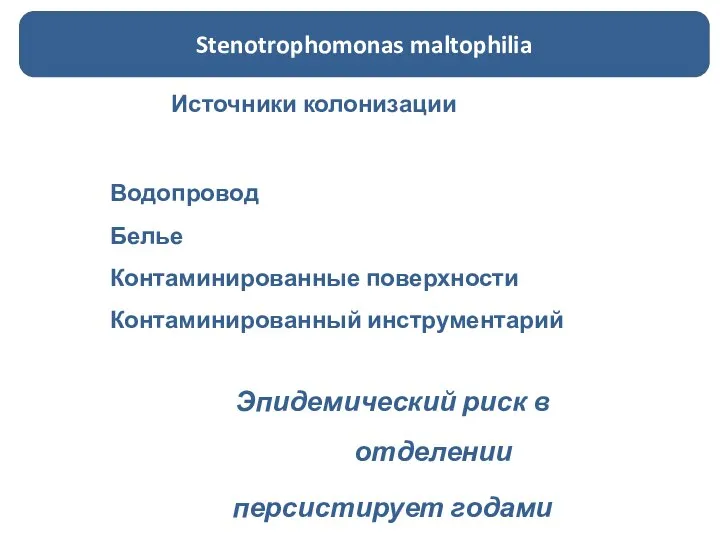 Источники колонизации Водопровод Белье Контаминированные поверхности Контаминированный инструментарий Stenotrophomonas maltophilia Эпидемический риск в отделении персистирует годами