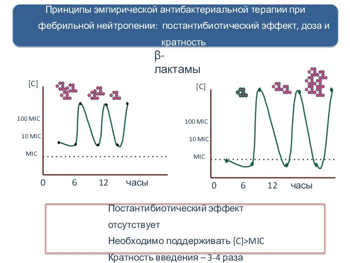 β-лактамы 0 6 12 часы [C] MIC 10 MIC 100 MIC