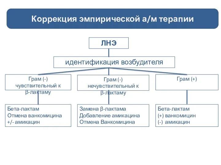 Коррекция эмпирической а/м терапии ЛНЭ идентификация возбудителя Бета-лактам Отмена ванкомицина +/-