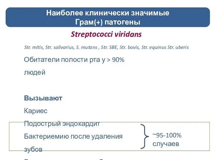 Streptococci viridans Str. mitis, Str. salivarius, S. mutans , Str. SBE,