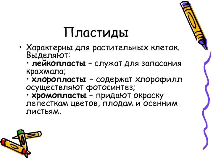 Пластиды Характерны для растительных клеток. Выделяют: • лейкопласты – служат для