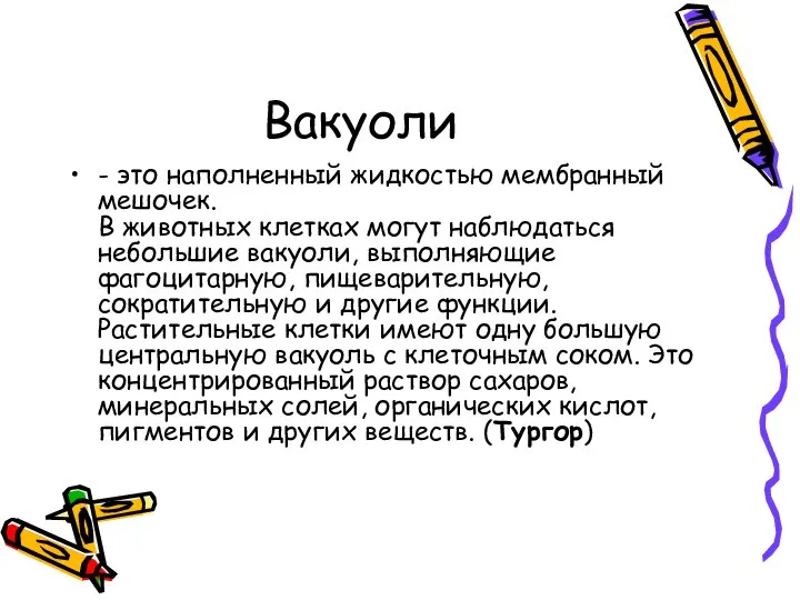 Вакуоли - это наполненный жидкостью мембранный мешочек. В животных клетках могут