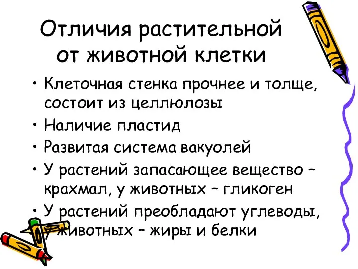 Отличия растительной от животной клетки Клеточная стенка прочнее и толще, состоит