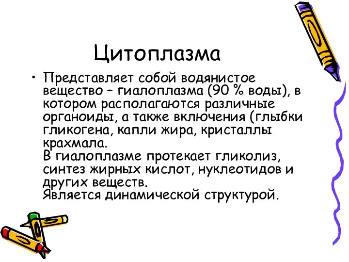 Цитоплазма Представляет собой водянистое вещество – гиалоплазма (90 % воды), в