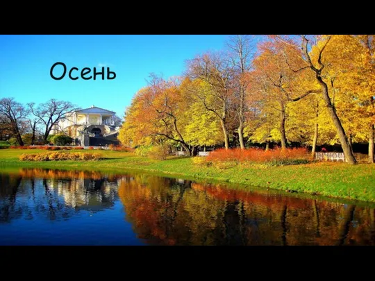 Осень