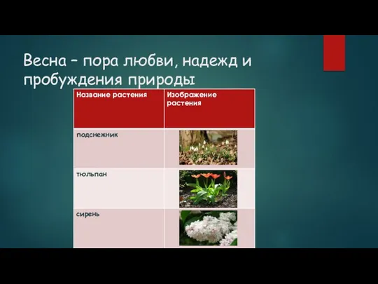 Весна – пора любви, надежд и пробуждения природы