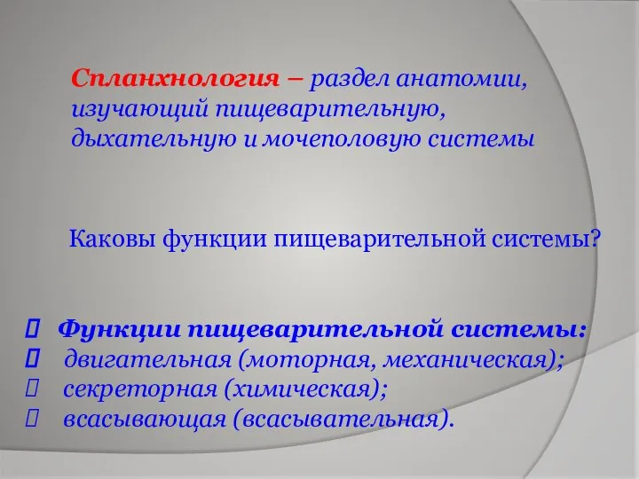 Спланхнология – раздел анатомии, изучающий пищеварительную, дыхательную и мочеполовую системы Функции