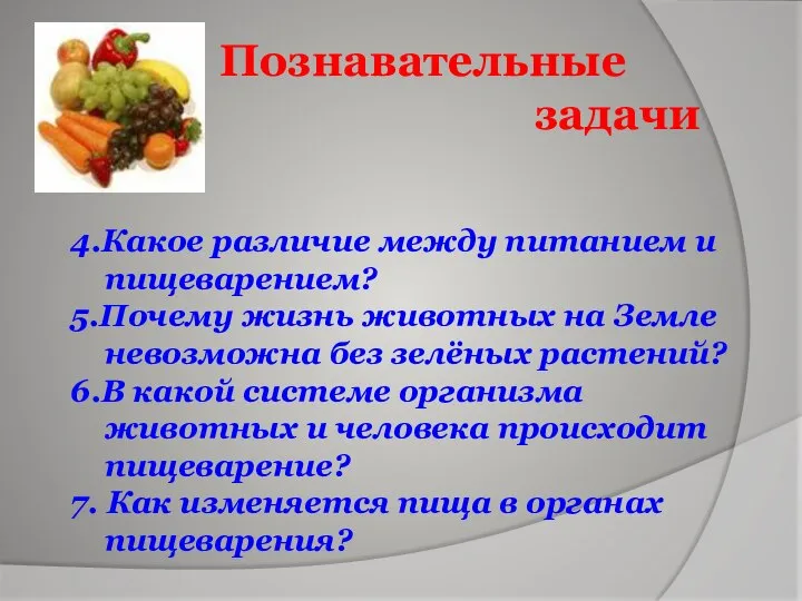 4.Какое различие между питанием и пищеварением? 5.Почему жизнь животных на Земле